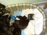 2010-10-02-IMAG0309