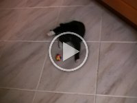 2010-08-31--00510